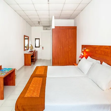 Xenios Dolphin Possidi