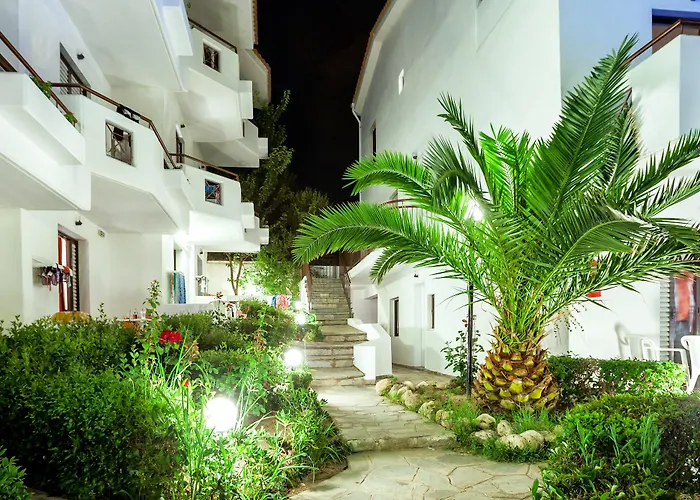 Отель Dolphin Beach 3*