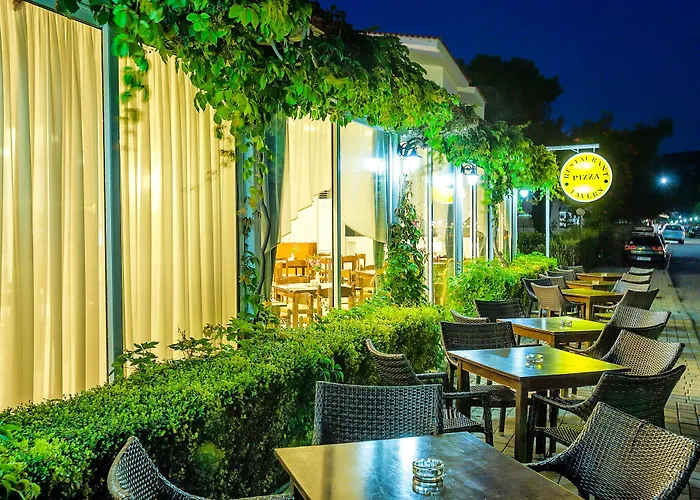 Отель Dolphin Beach