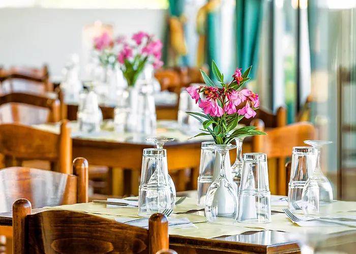 Отель Dolphin Beach