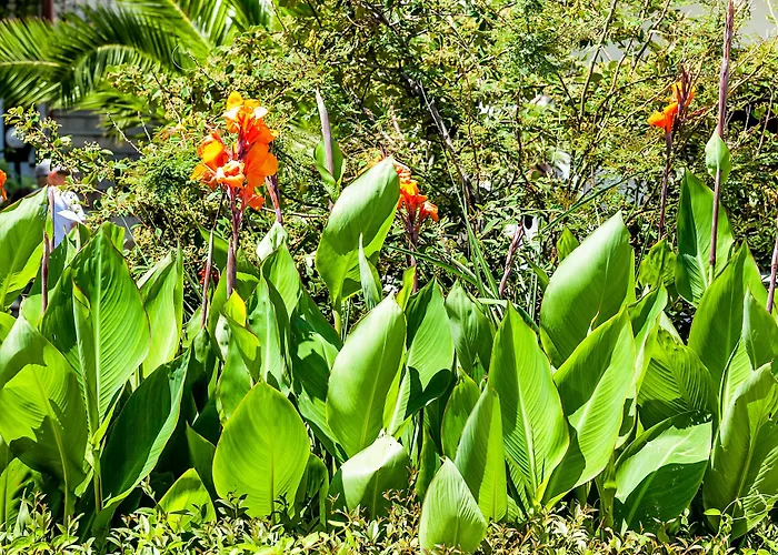 Отель Dolphin Beach Посиди