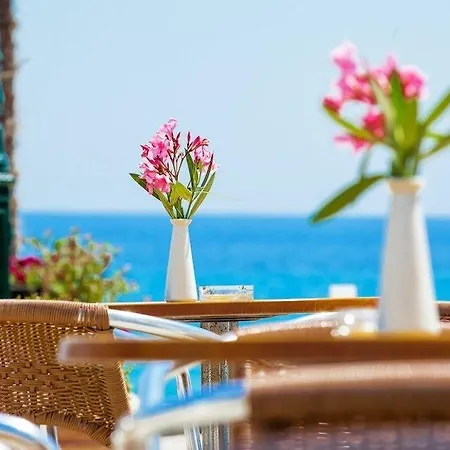 Xenios Dolphin Otel Possidi